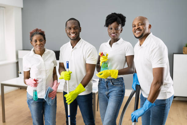 Professional home cleaning