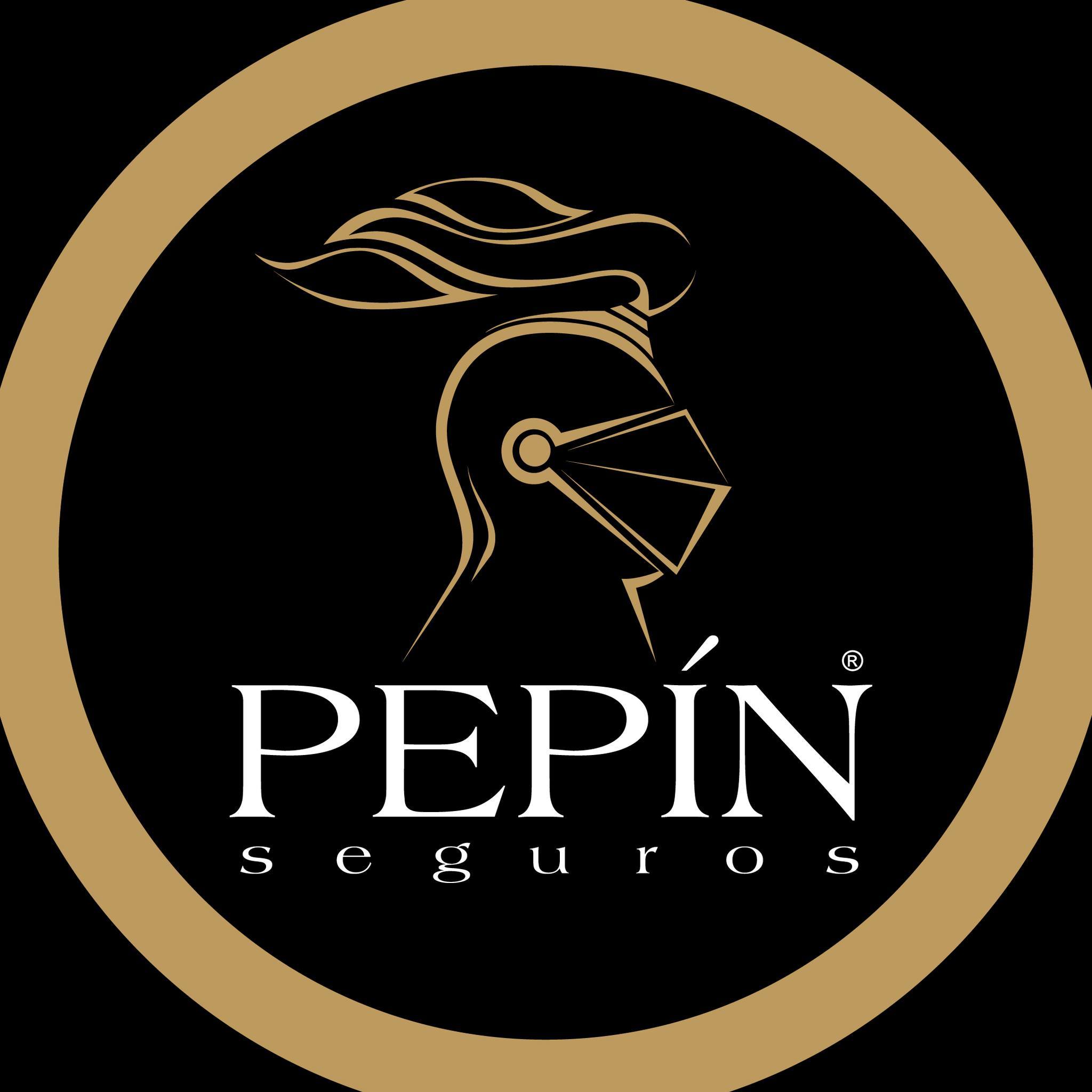 Seguros Pepin / Agente