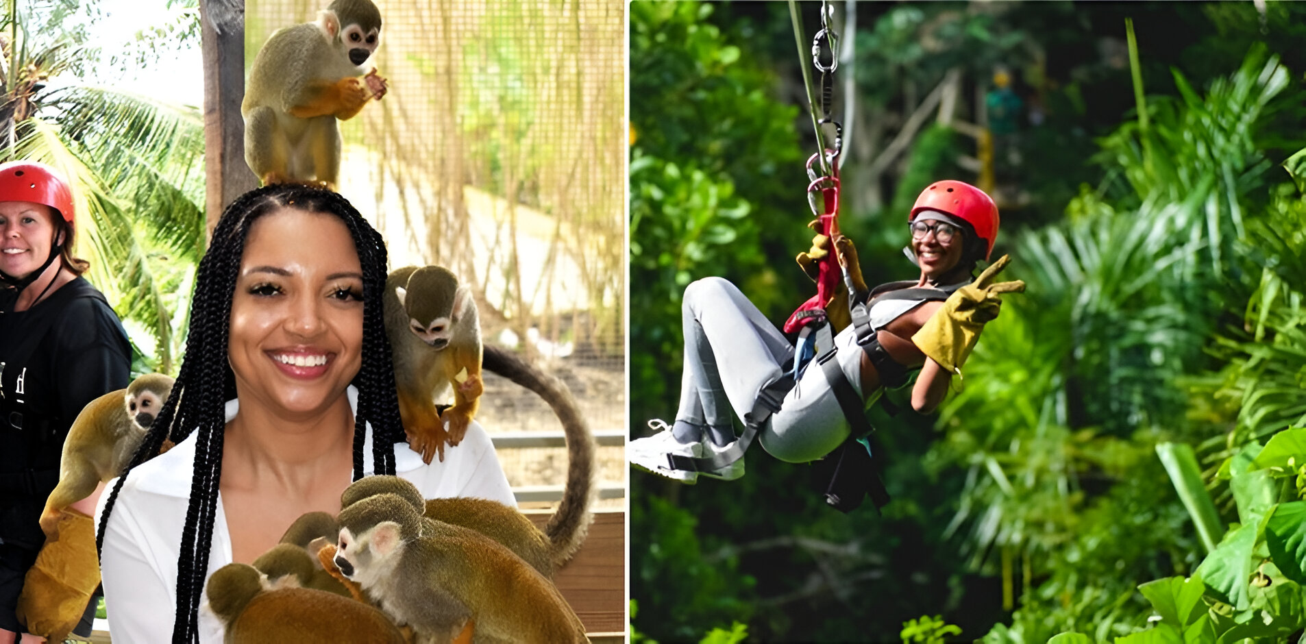 Zipline y Monkeyland Combo
