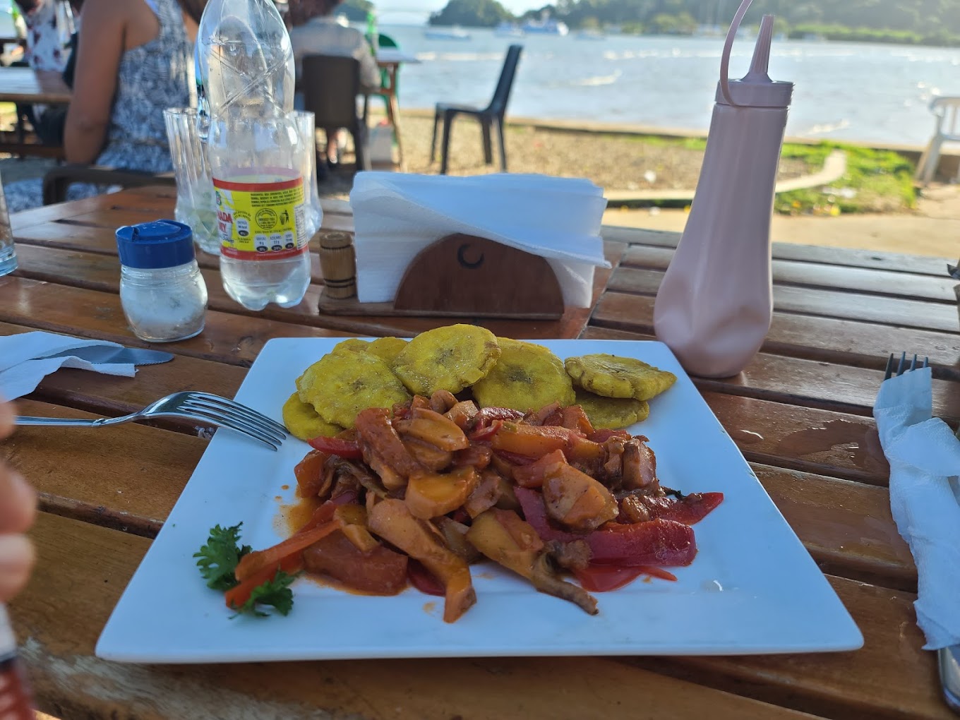 Bar Restaurante Ballena Blanca - Malecon Samana